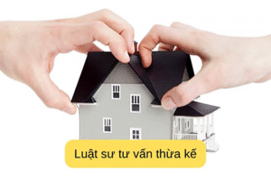 Luật sư tư vấn luật thừa kế